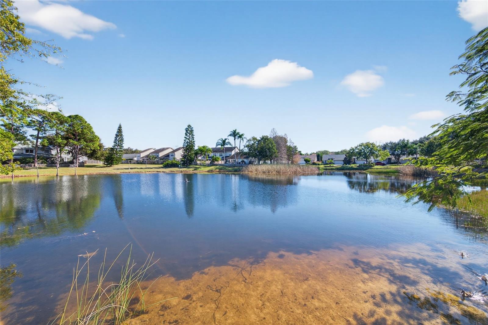 BROOKFIELD - Residential