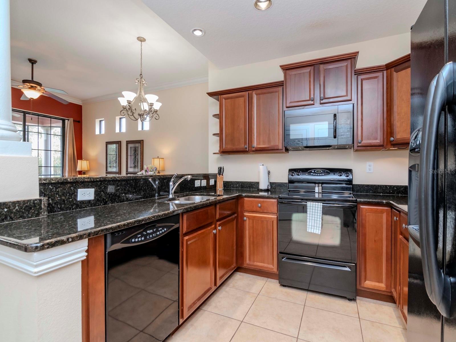 13941 CLUBHOUSE DRIVE 102