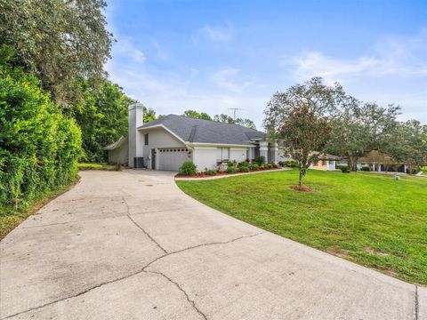 Tiny photo for 7 Graytwig Court W, Homosassa, FL 34446 (MLS # W7878644)