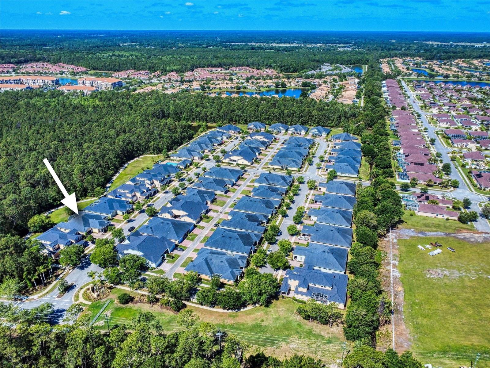 TIFFANY HOMES AT VENETIAN BAY - Residential