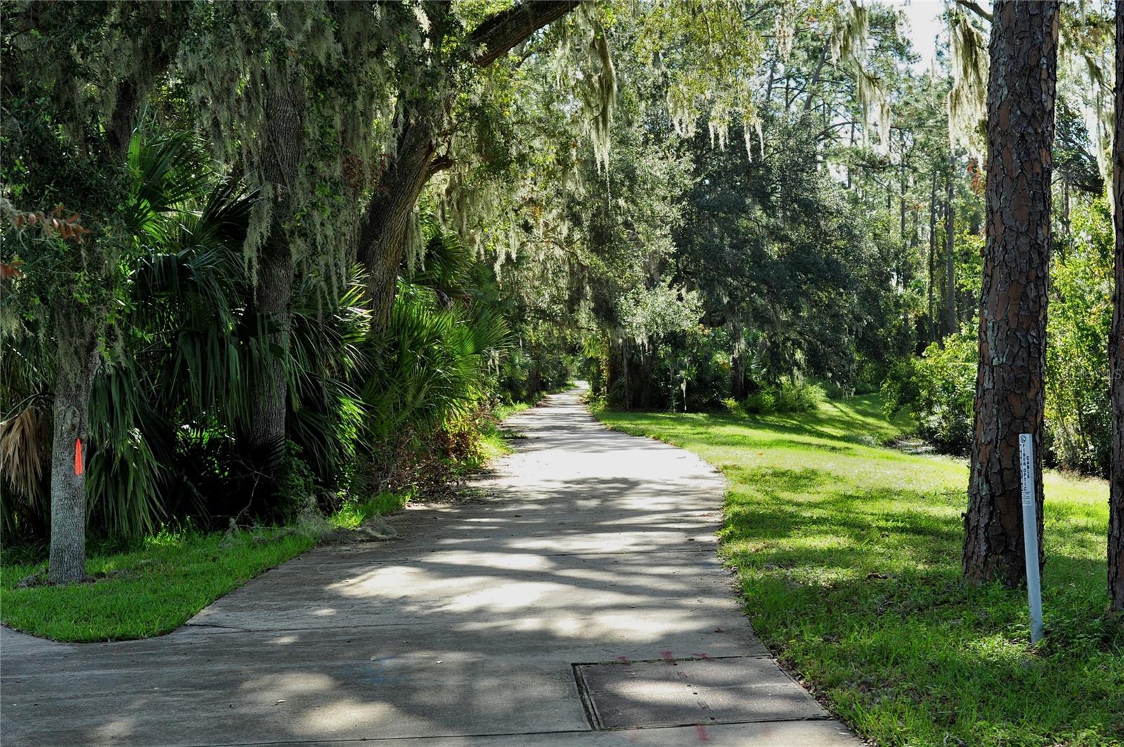 TIFFANY HOMES AT VENETIAN BAY - Residential