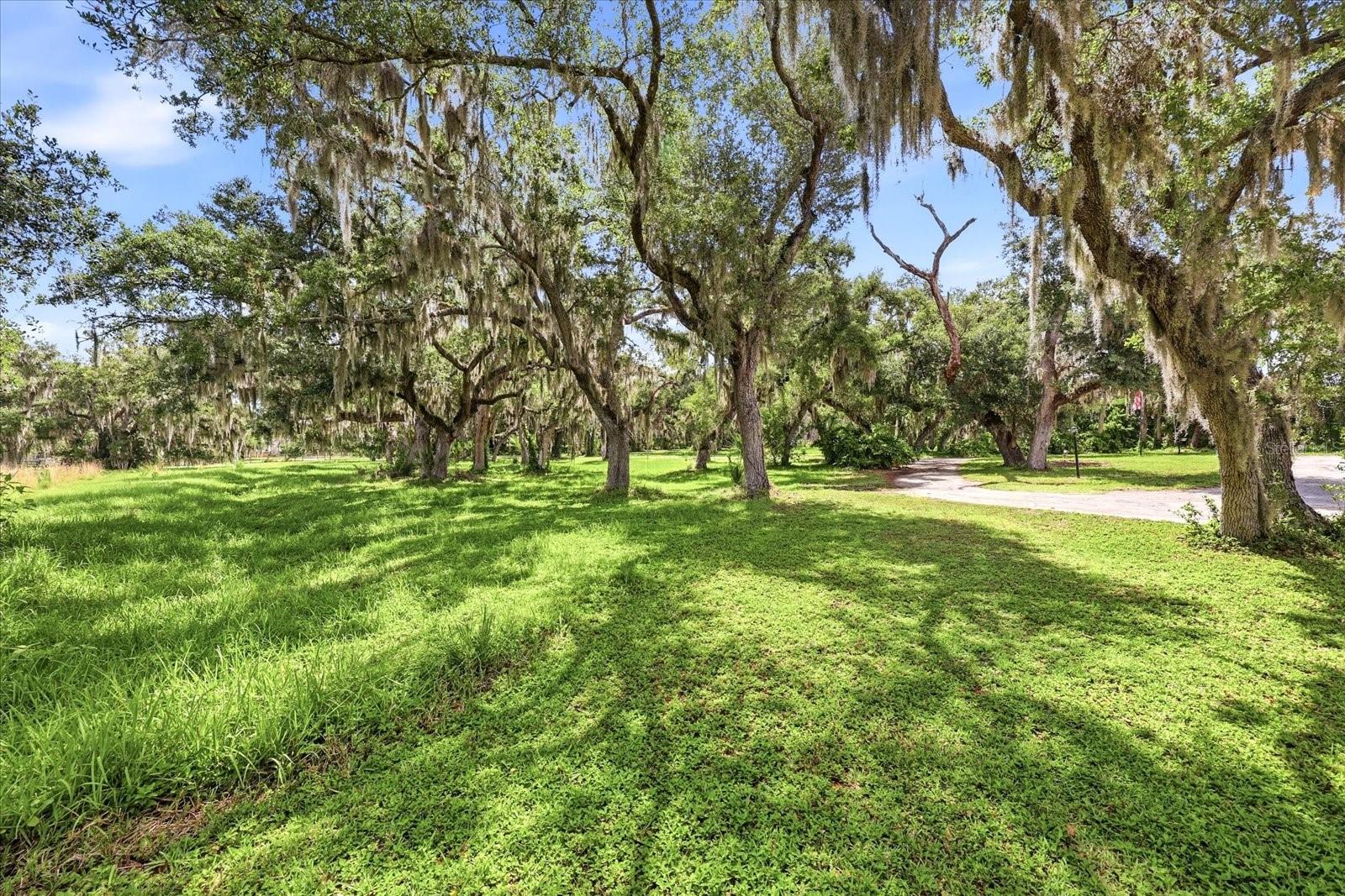MYAKKA VALLEY RANCHES - Residential
