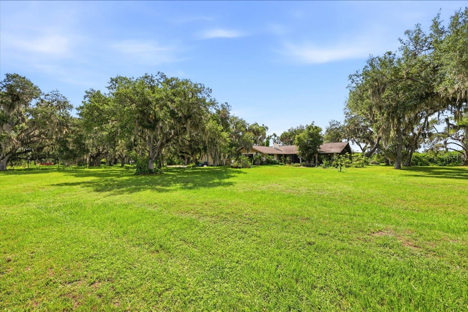 MYAKKA VALLEY RANCHES - Residential