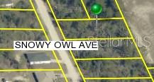 Nestled away in a highly desirable area of the Royal Highlands, this beautiful home site is waiting for you. The location is fantastic, ready to build your dream home on - or hold on to as an investment. Not in a deed restricted community, NO HOA or CDD fees either, and there is no time limit on when you can build. Close to all area amenities such as shopping, schools, dining, entertainment, medical, saltwater fishing in the Gulf and natural freshwater rivers and springs - for those who love the outdoors. Come see this beautiful home site today before it's gone. If you have any questions, just ask.
