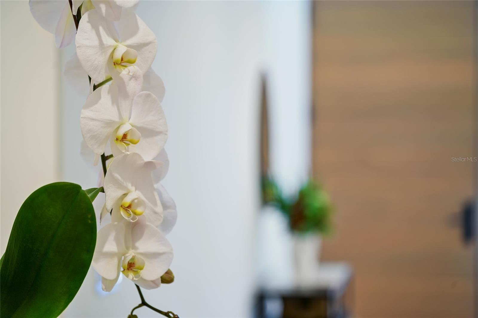 HUDSON BAYOU - Residential