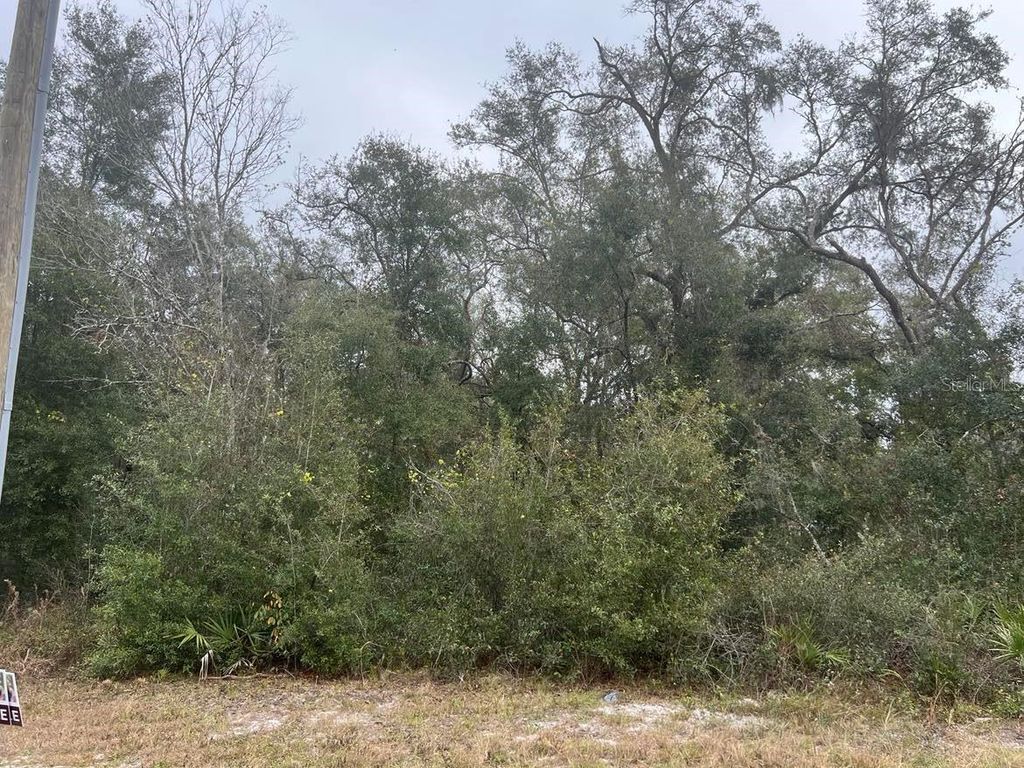 Photo of 7466 Treiman Boulevard, Webster, FL 33597 (MLS # TB8478627)