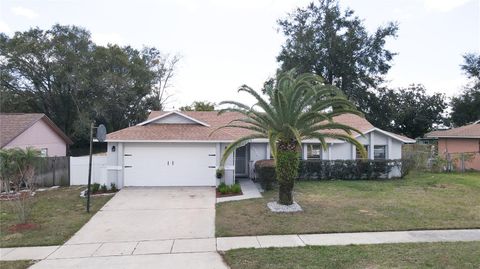 A home in ORLANDO