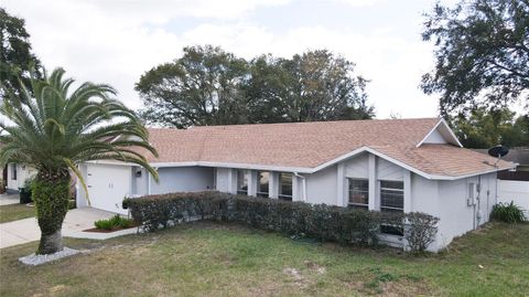 A home in ORLANDO