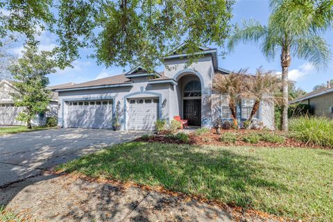 16320 BRIDGEWALK DRIVE LITHIA FL 33547