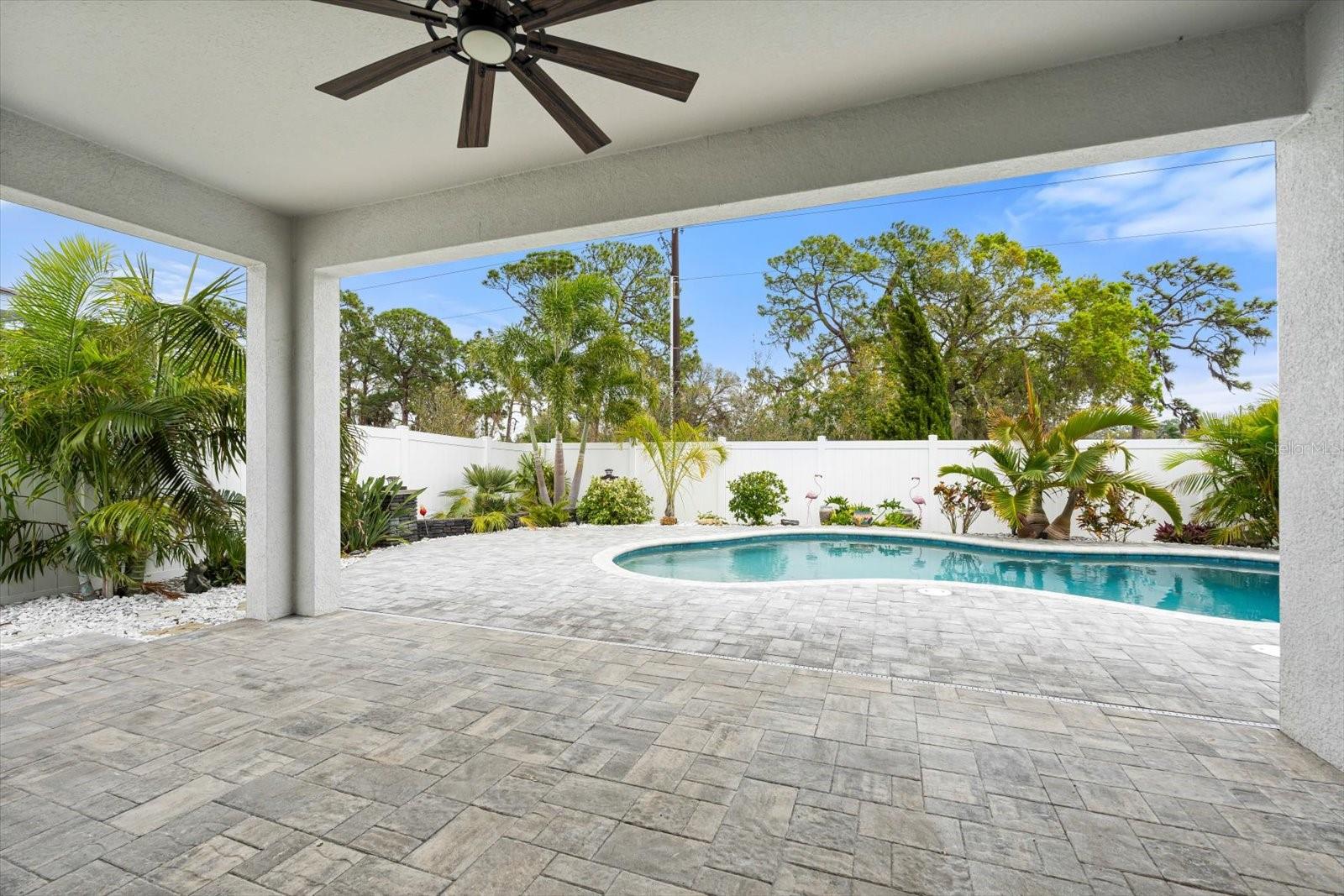 559 SPOTTED SLIPPER PLACE