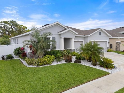559 SPOTTED SLIPPER PLACE RUSKIN FL 33570