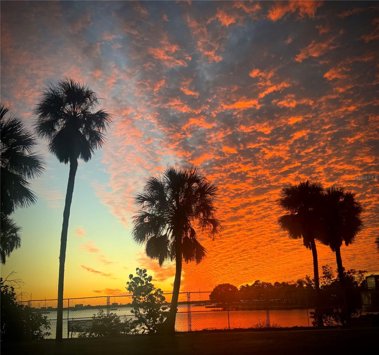 TERRA COVE - Residential