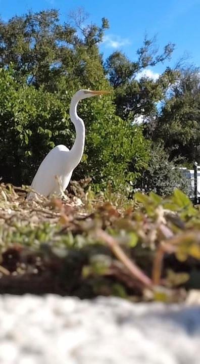 TERRA COVE - Residential