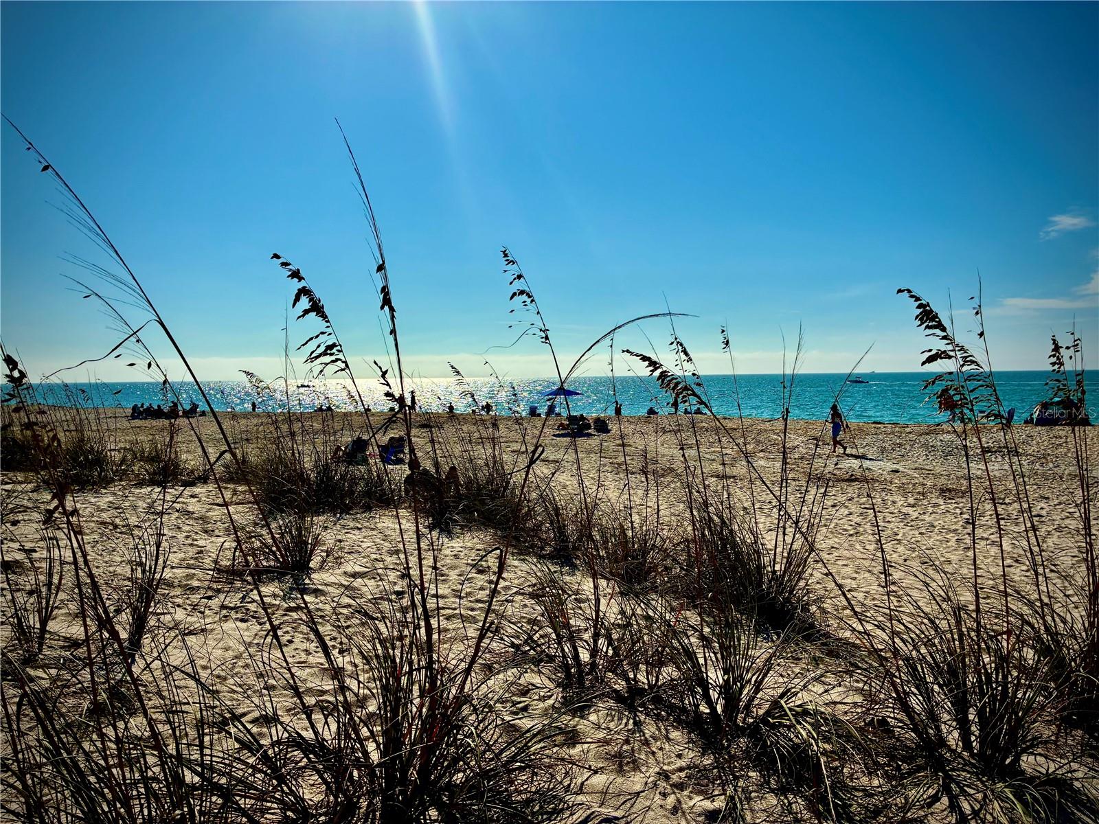 TERRA COVE - Residential