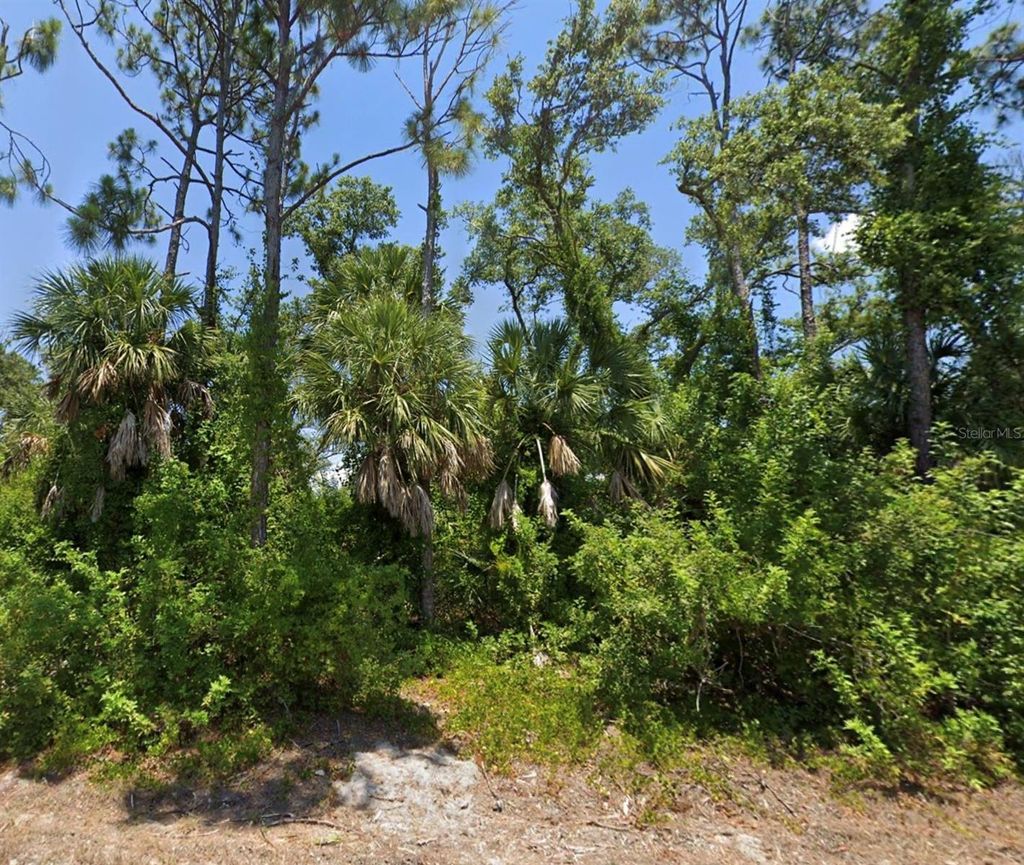 Photo of 10046 Flat River Street, Port Charlotte, FL 33981 (MLS # C7515609)