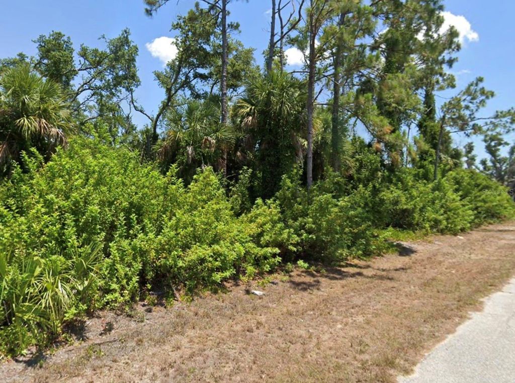 Photo of 10046 Flat River Street, Port Charlotte, FL 33981 (MLS # C7515609)