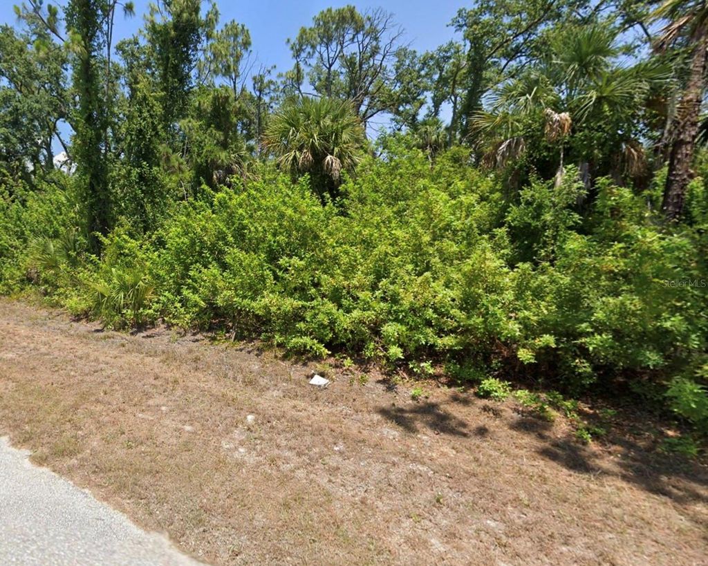 Photo of 10046 Flat River Street, Port Charlotte, FL 33981 (MLS # C7515609)
