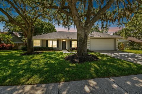 A home in TAMPA