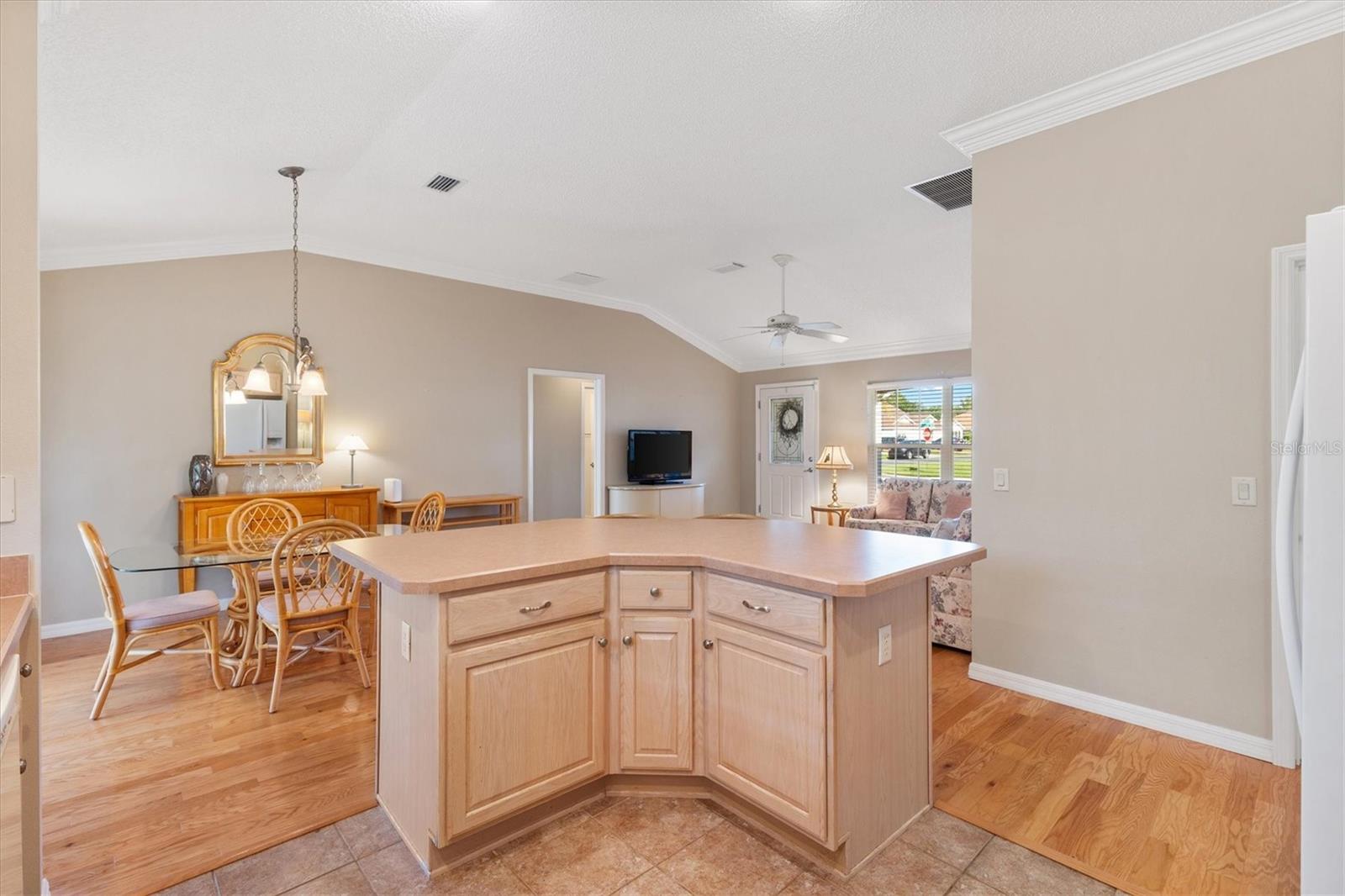 THE VILLAGES - Residential