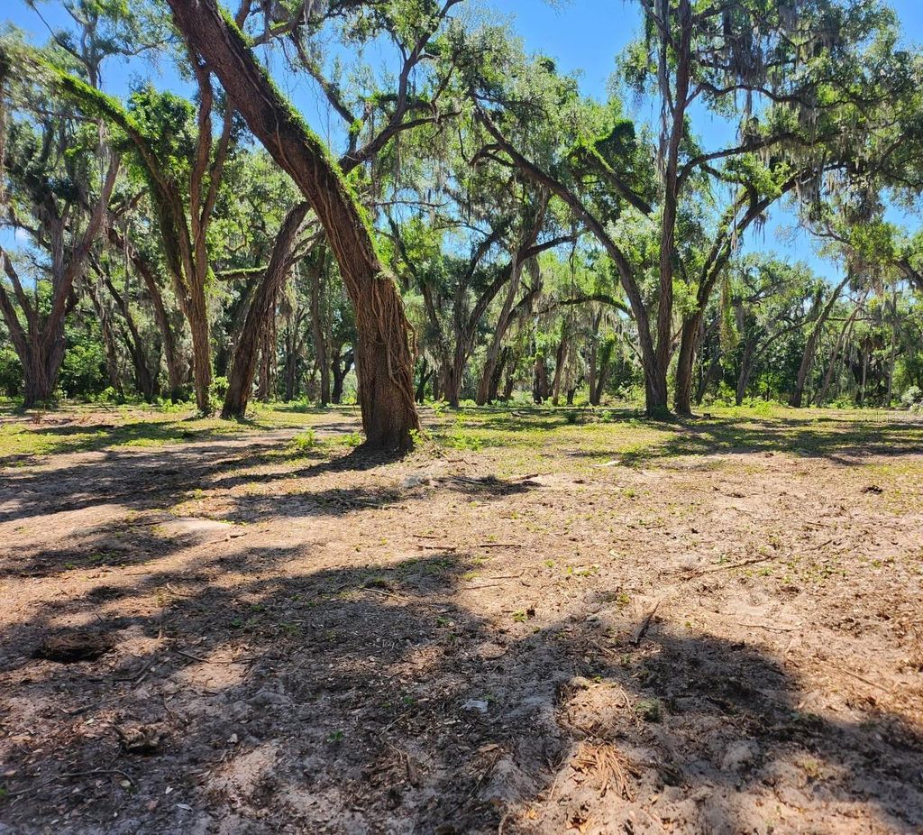 Photo of Muck Pond Road, Seffner, FL 33584 (MLS # TB8501301)