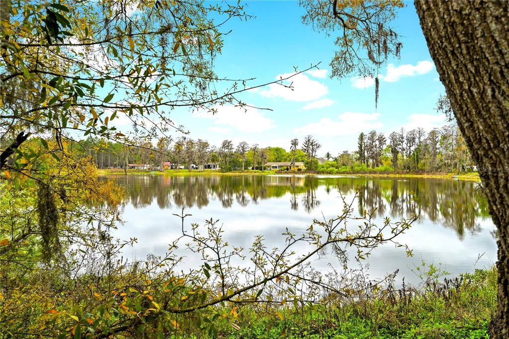 Photo of 18117 Boy Scout Road, Odessa, FL 33556 (MLS # TB8485194)