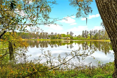 Photo of 18117 Boy Scout Road, Odessa, FL 33556 (MLS # TB8485194)