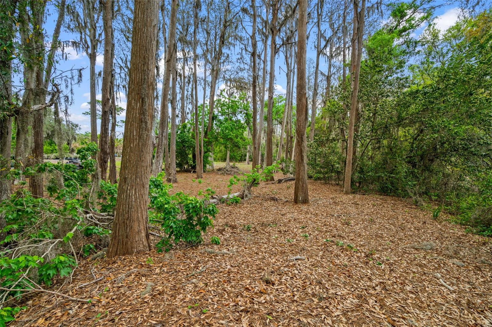KEYSTONE PARK COLONY - Land