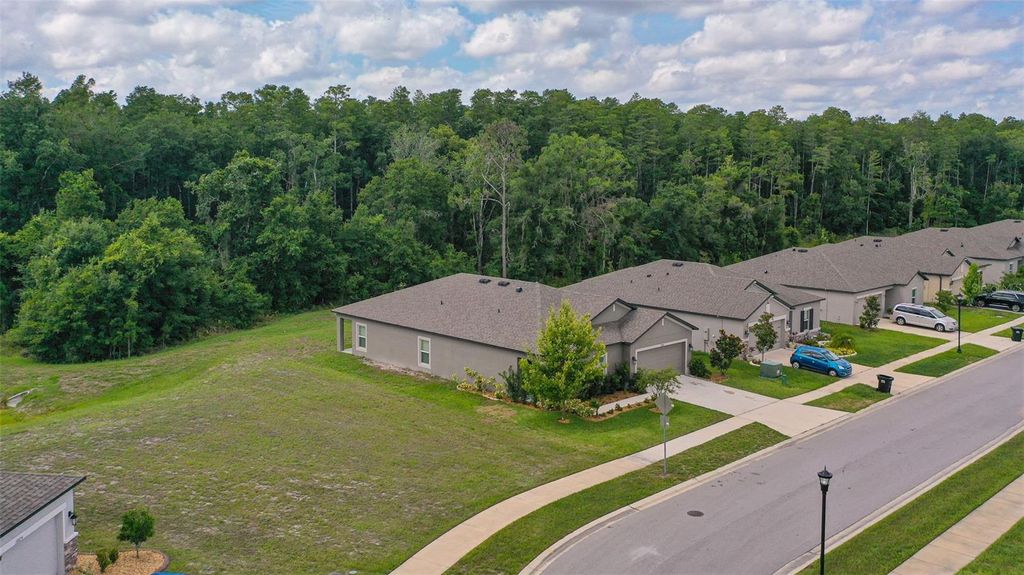 Photo of 18858 Alfaro Loop, Spring Hill, FL 34610 (MLS # T3535663)