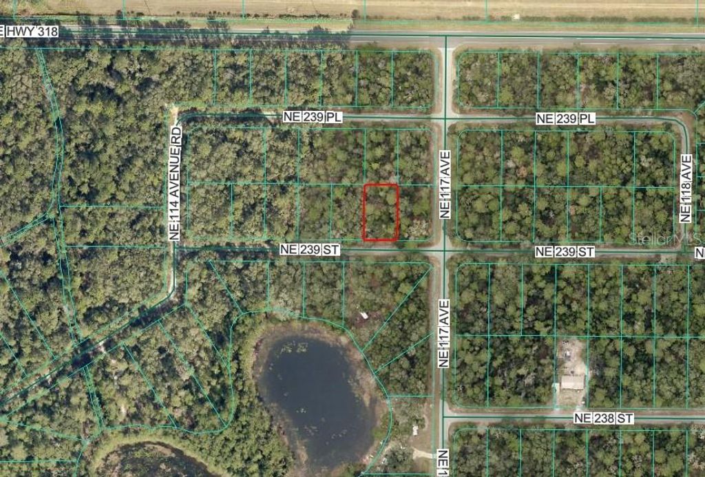 Photo of NE 239th St, Fort Mccoy, FL 32134 (MLS # OM716845)