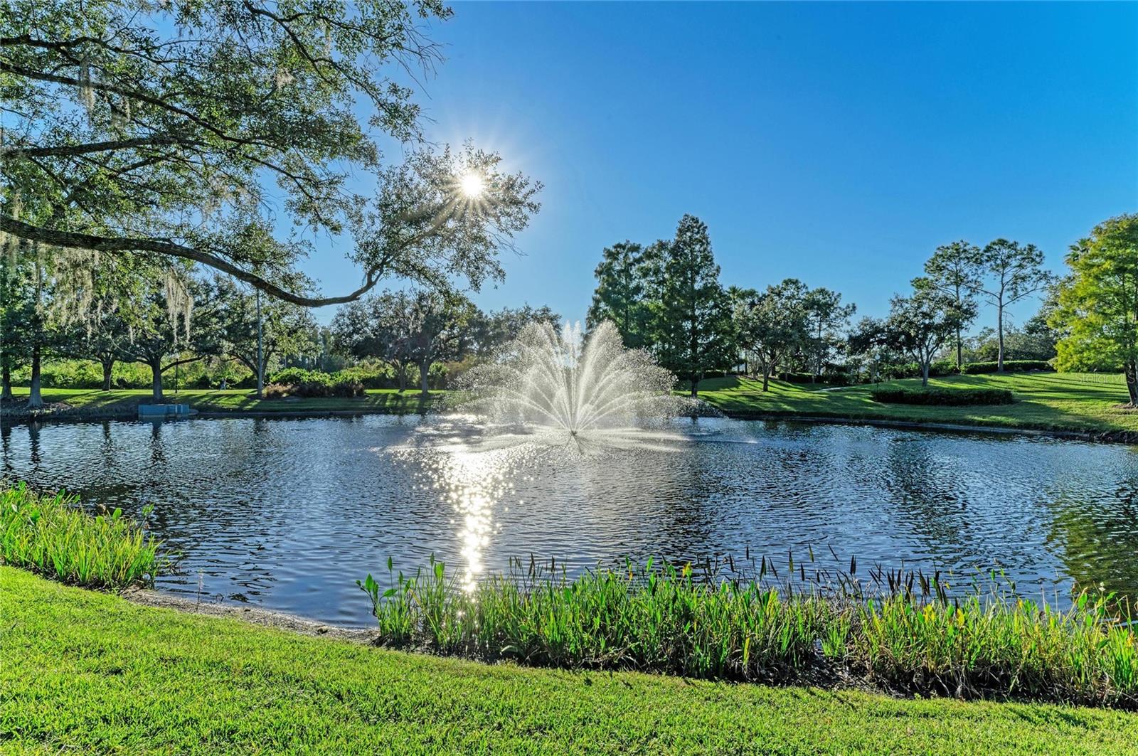 ARBOR GREENE PH 7 UNIT 1 - Residential