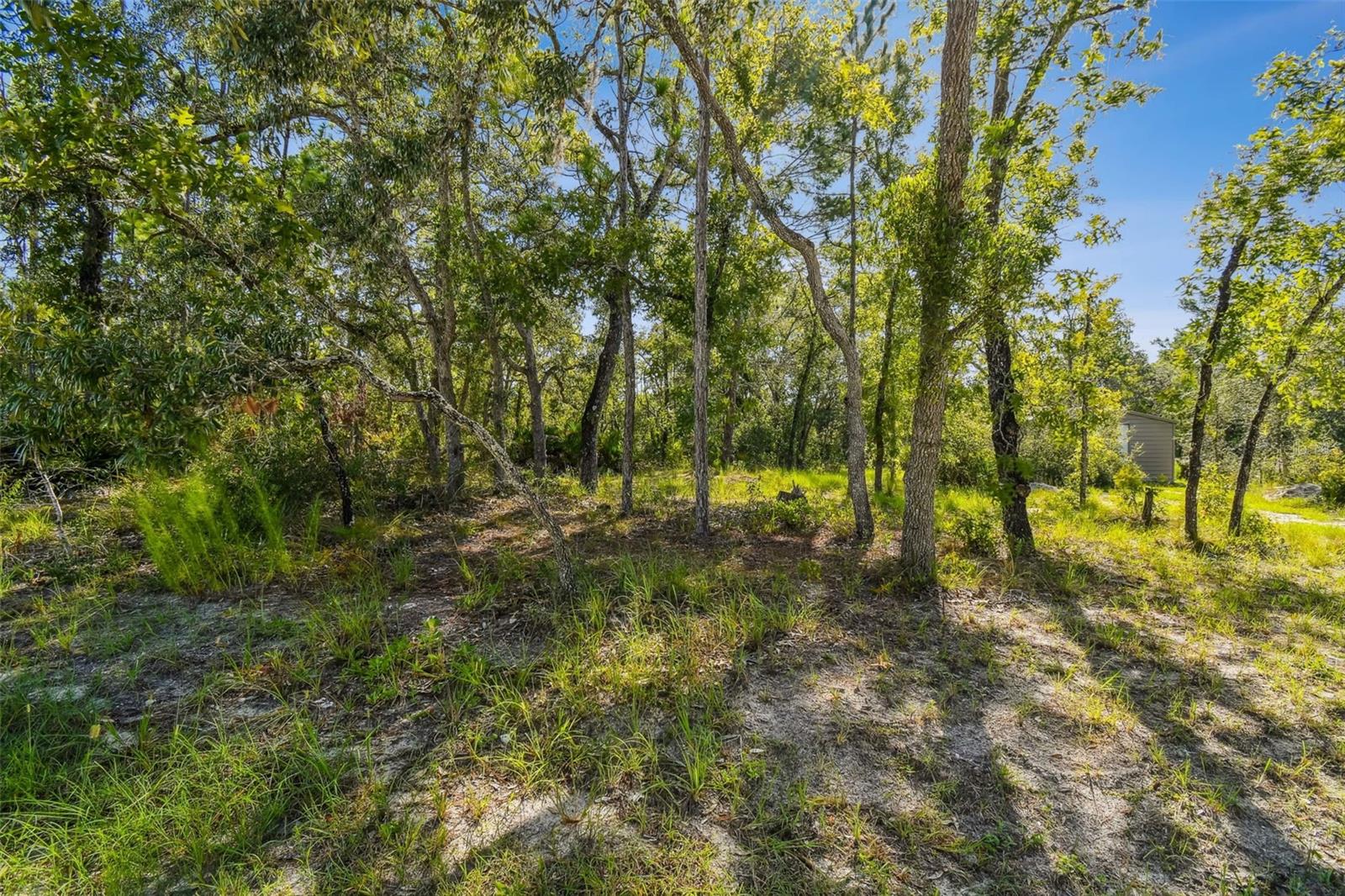Check out the corner of Maybird Ave and Millerdale Rd for the perfect location to build your new home. The up-and-coming Royal Highlands subdivision offers no HOA or CDD and no deed restrictions! This beautiful CORNER, 200 x 100 feet mature wooded lot has endless potential so bring your dreams and put them into reality. Now is the perfect time to invest in your land even if you choose not to build until later. If privacy, tranquility and the best of nature are on your checklist, but you want to be close to shopping, dining, schools, and the Suncoast Parkway as well as easy access to beaches, look no further! Line up your builder and join me walk this beautiful homesite!