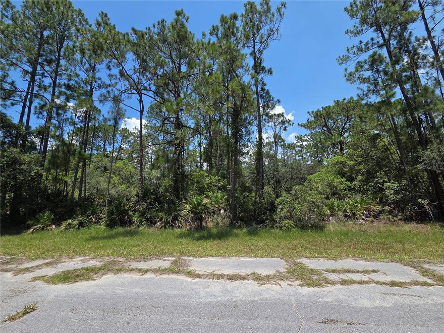 Check out this 0.50 ACRE lot located in Indian Lake Estates! A gated community featuring 2 golf courses (18 hole and 9 hole), tennis, pickleball, and basketball courts, 23,000 SF clubhouse, 1200 ft fishing pier, marina with floating docks, and 20 boat slips, lake pavilion with restrooms and kitchen, a restaurant, churches, and more. LOW Annual HOA Fee! Just a few minutes from Westgate River Ranch and a short drive to Vero Beach. Located close to Highway 60. Don't miss out, CALL US TODAY!!