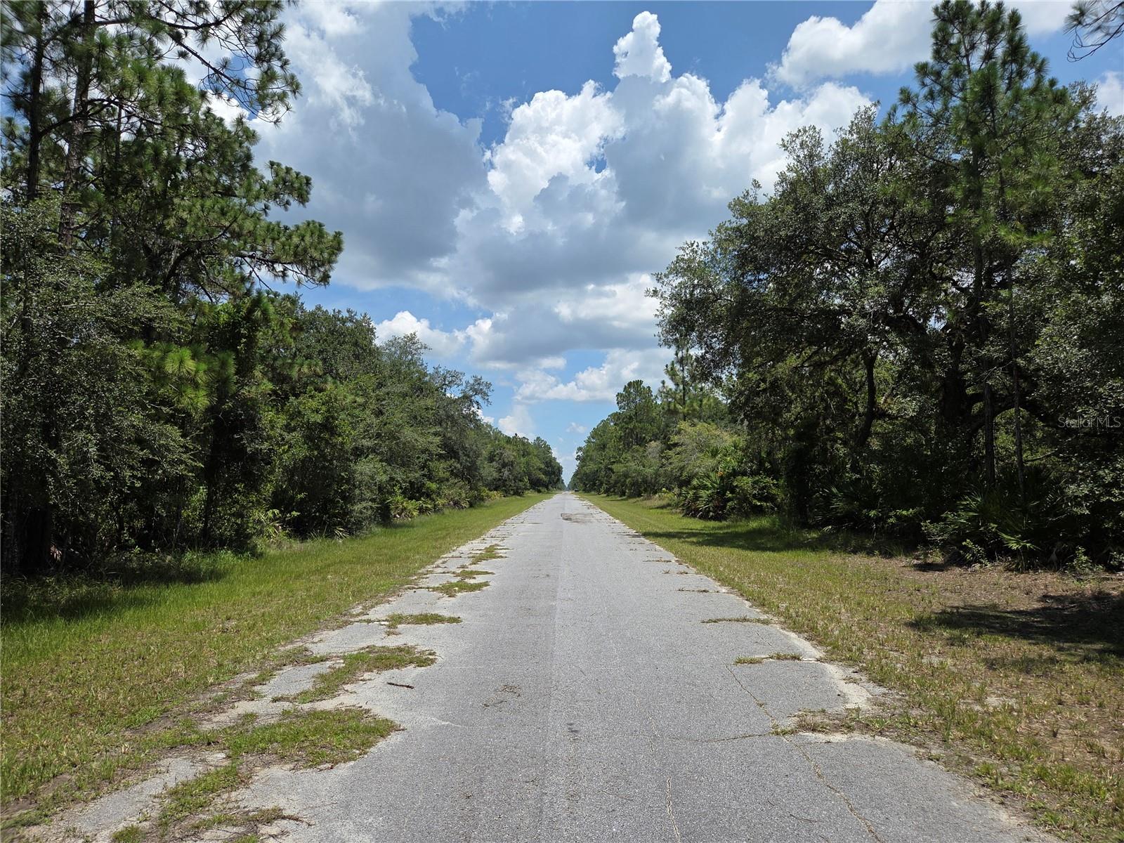 INDIAN LAKE ESTATES - Land