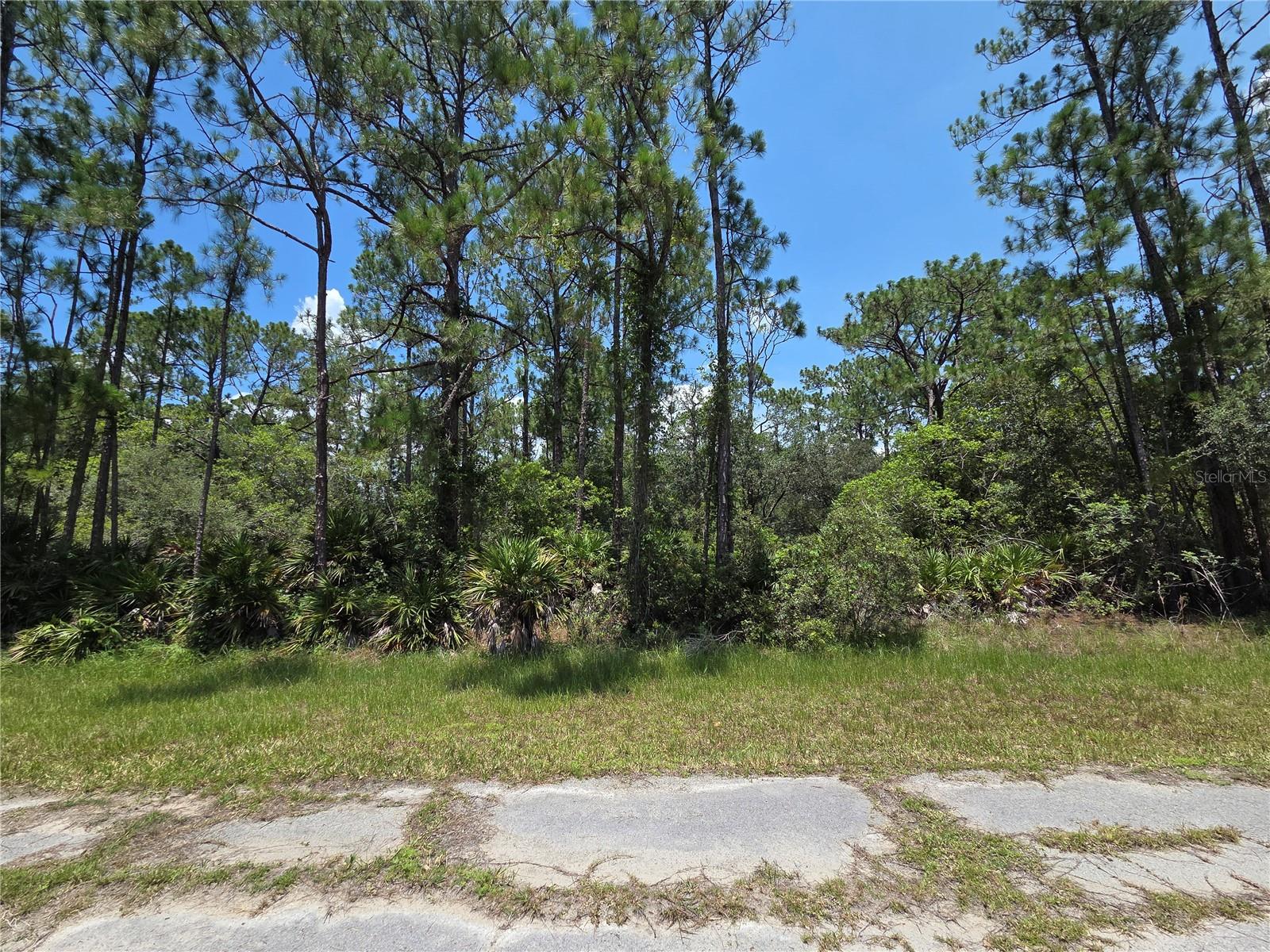 INDIAN LAKE ESTATES - Land