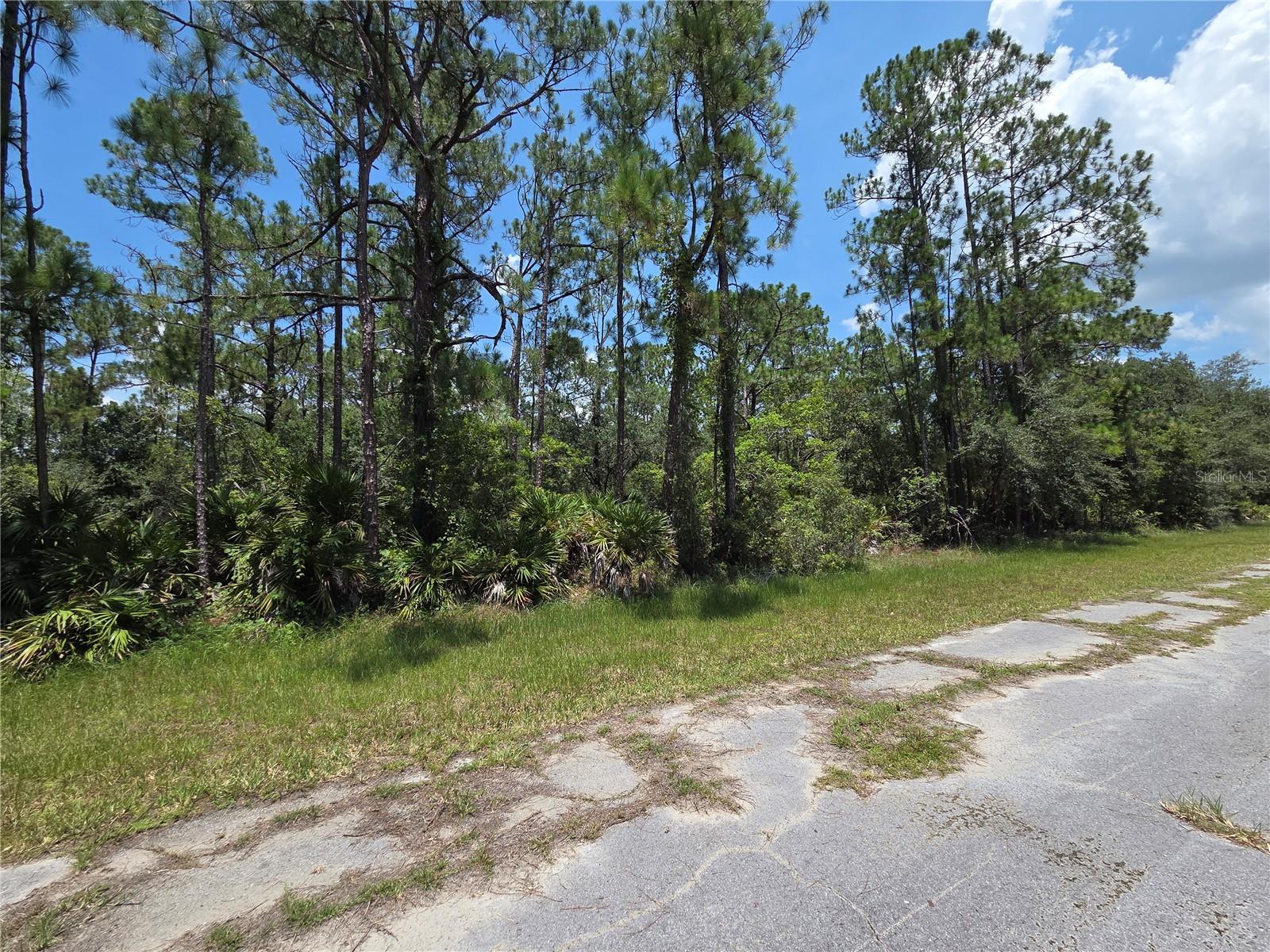 INDIAN LAKE ESTATES - Land