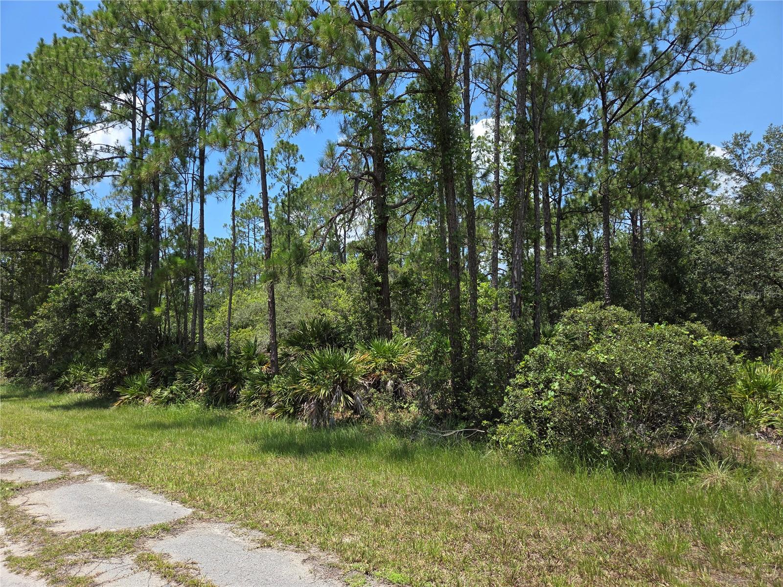 INDIAN LAKE ESTATES - Land