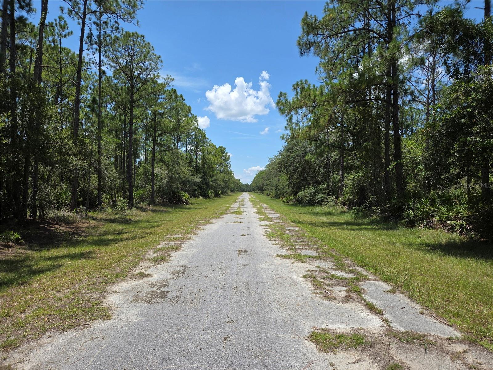 INDIAN LAKE ESTATES - Land