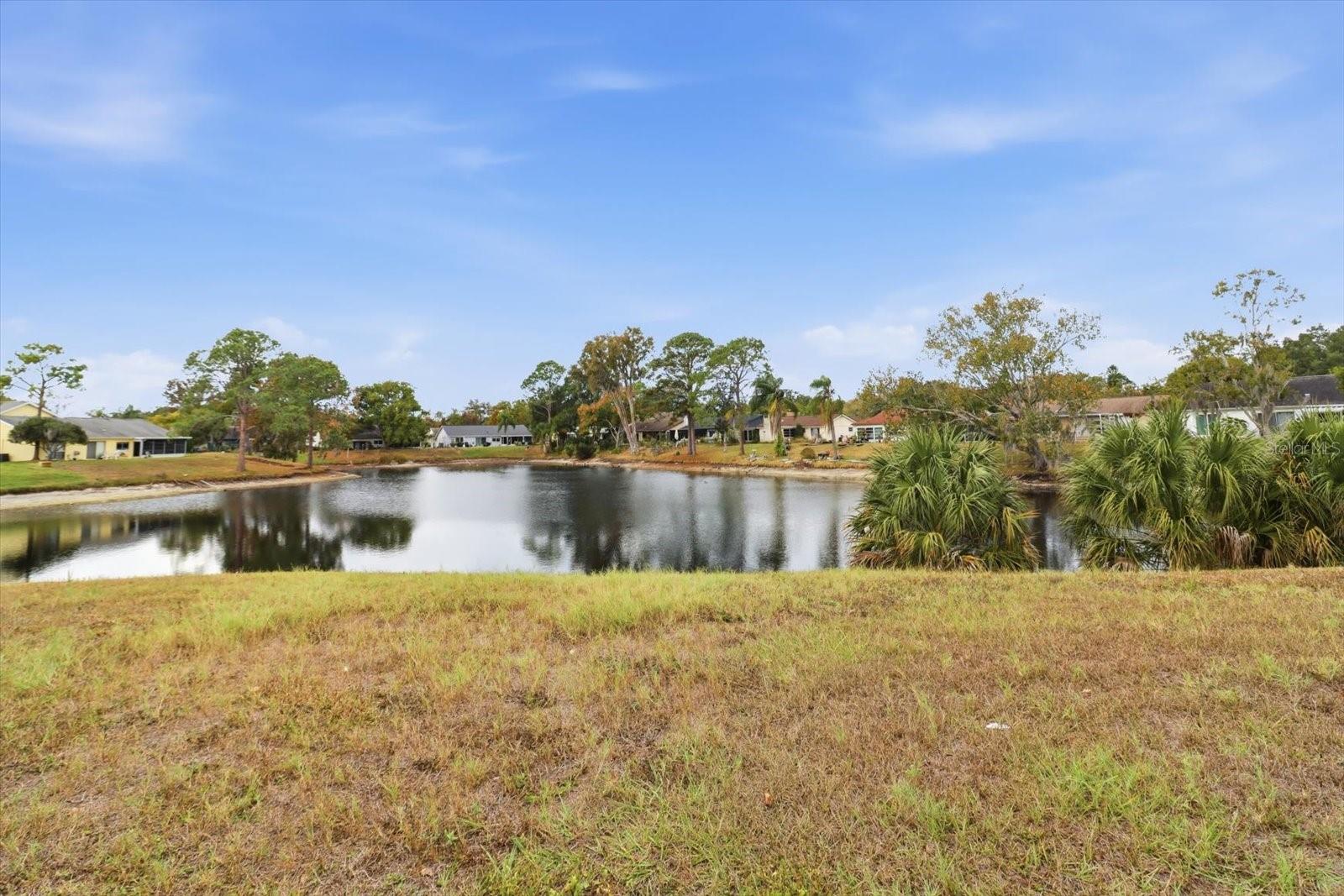 BEACON WOODS VILLAGE - Residential