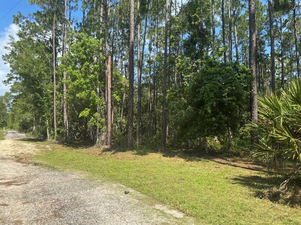 They aren't making land anymore! Take the opportunity to purchase this parcel and build your home. NO HOA. Water, electric, and internet available. Almost 2 acres. Property survey available upon request. Close to Astor Boat Ramp, Hwy 40, St Johns River, Lake George, WMA, and more. Priced to Sell.