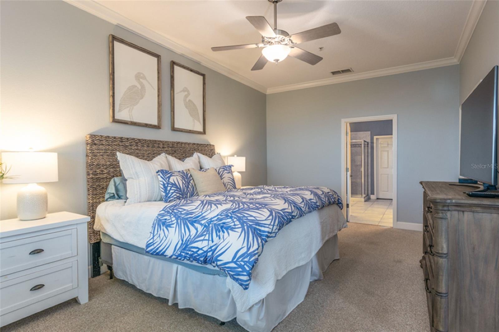 OCEAN HAMMOCK - Residential