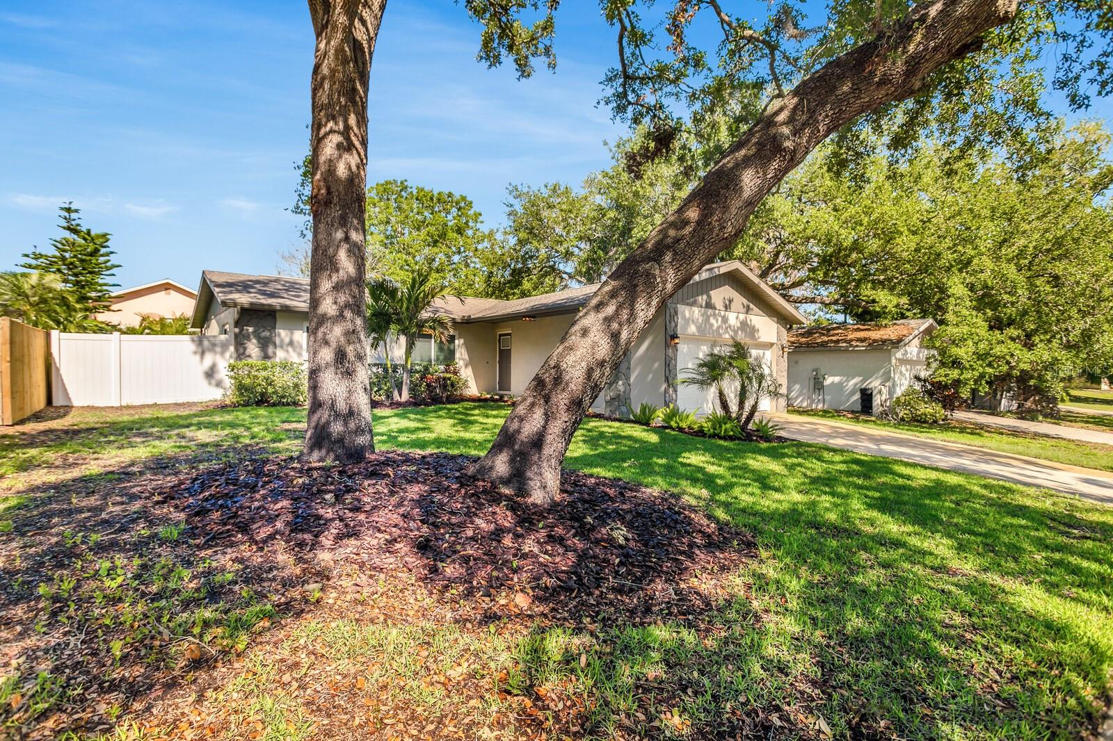 2988 SUGAR BEAR TRAIL