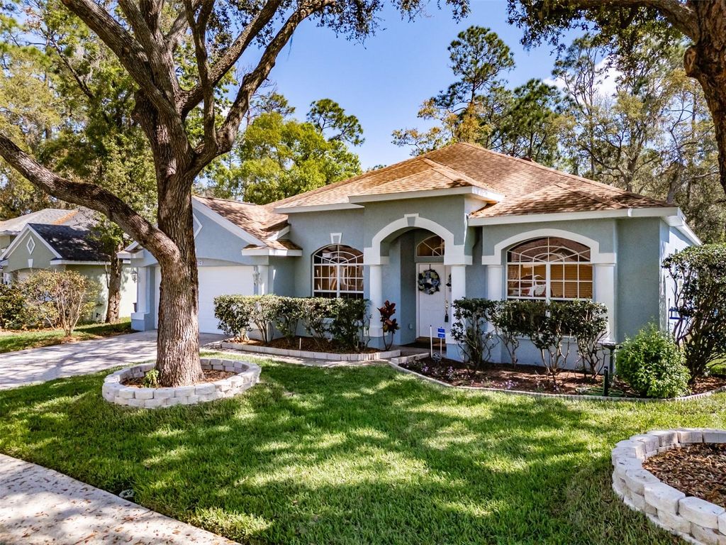 Photo of 3732 Hollow Wood Drive, Valrico, FL 33596 (MLS # TB8486167)