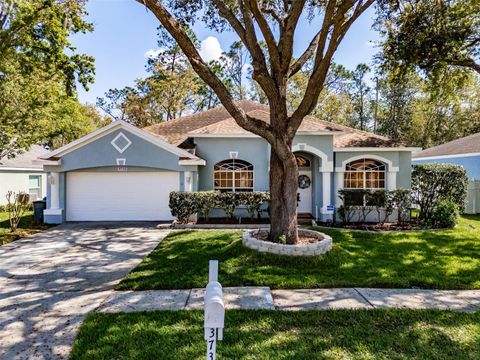 3732 HOLLOW WOOD DRIVE VALRICO FL 33596