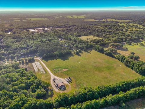 Tiny photo for Tbd NE 195th Avenue, Williston, FL 32696 (MLS # OM723181)