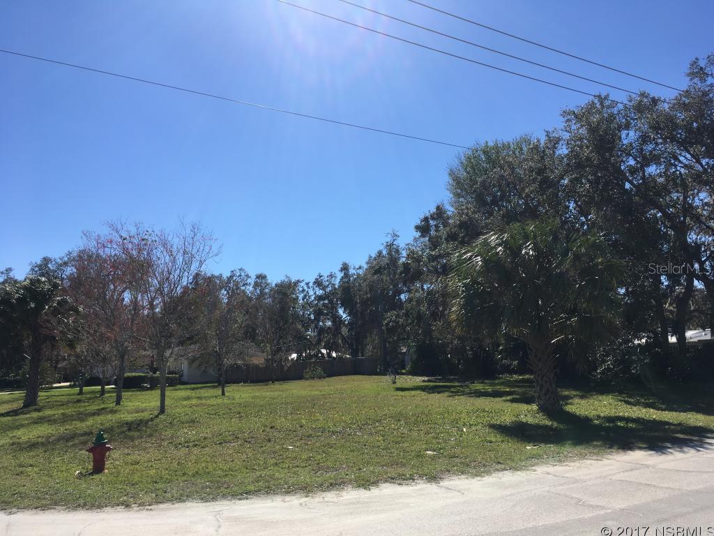 Florida Shores 01 - Land