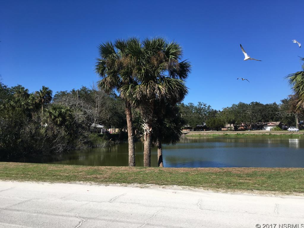 Florida Shores 01 - Land