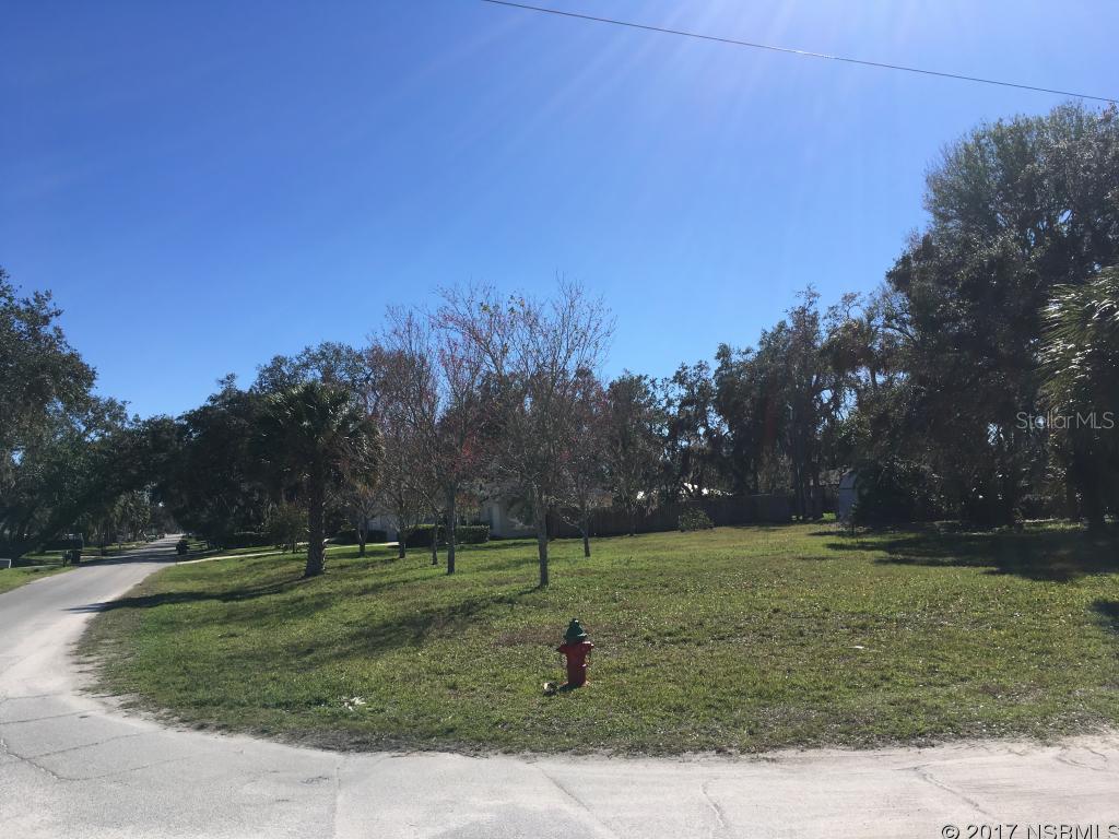 Florida Shores 01 - Land