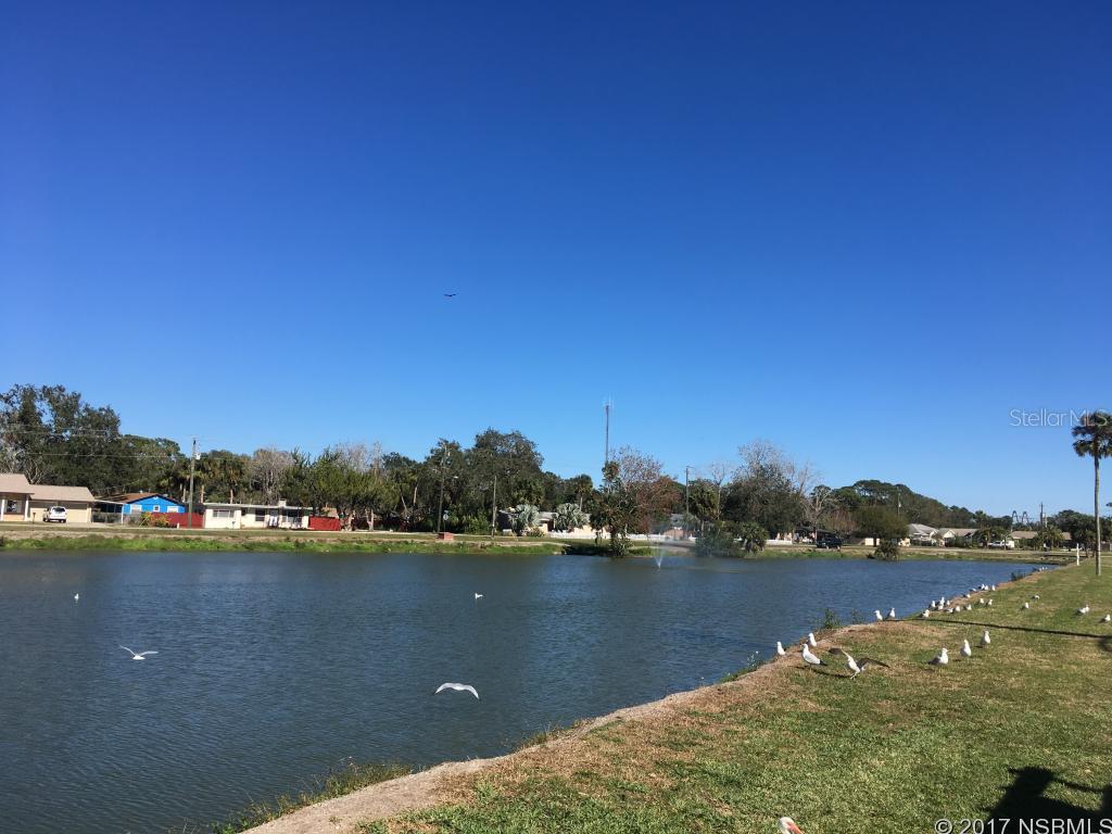 Florida Shores 01 - Land