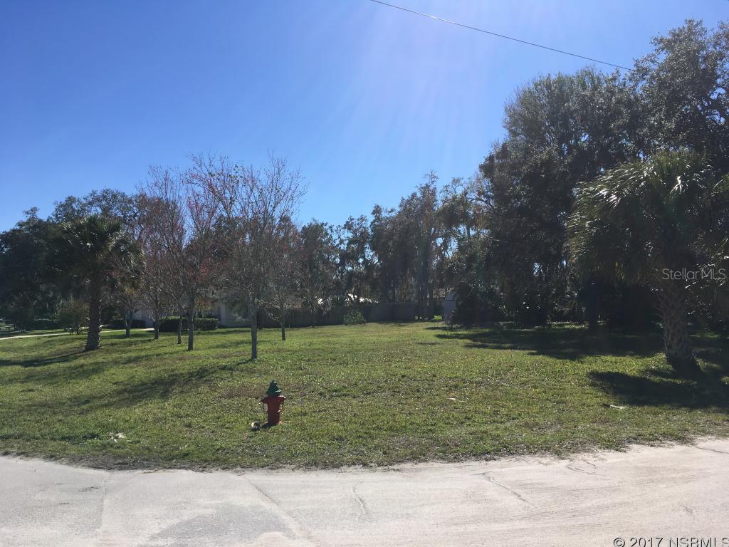 Florida Shores 01 - Land