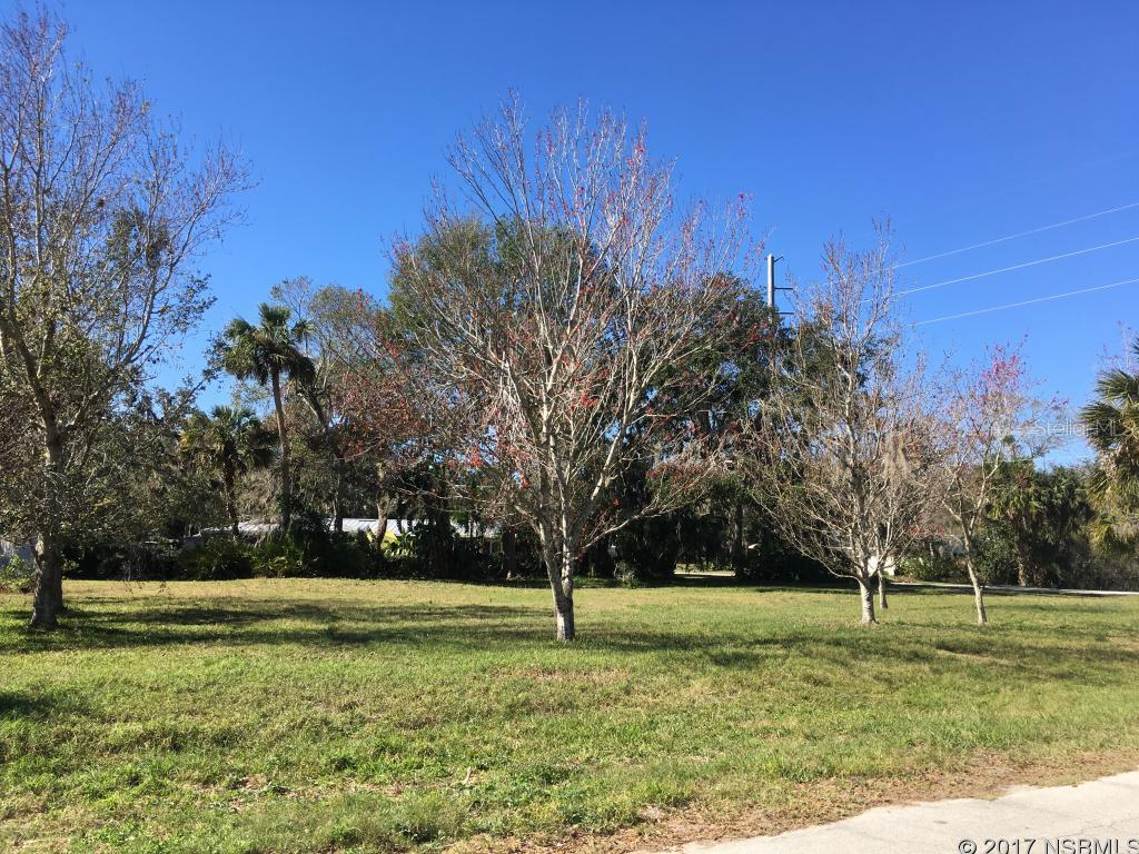 Florida Shores 01 - Land